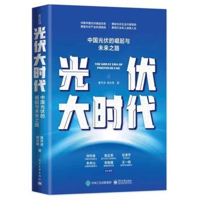 Chinese Solar PV Industry Rise - Renewable Energy Books 评论和价格